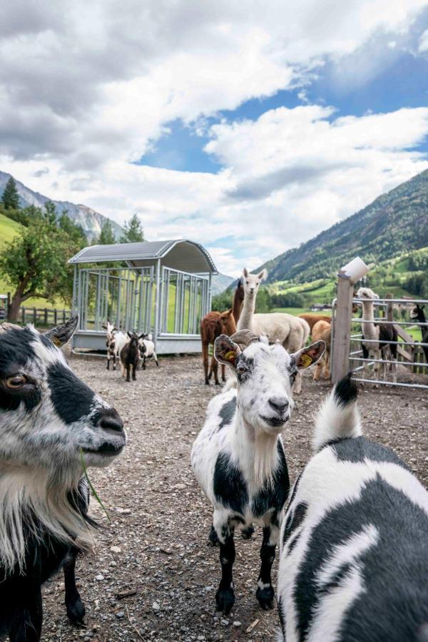 Ruggenthalerhof Apartman Matrei in Osttirol Kültér fotó